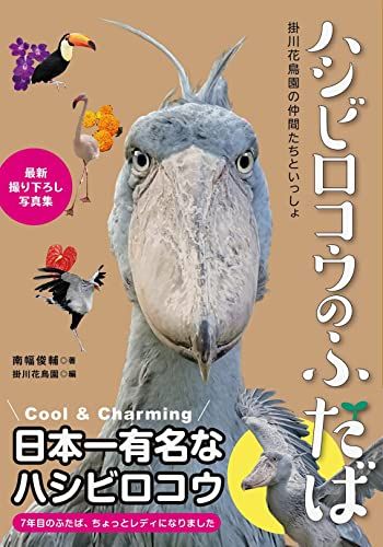 ハシビロコウのふたば～掛川花鳥園の仲間たちといっしょ～／南幅 俊輔
