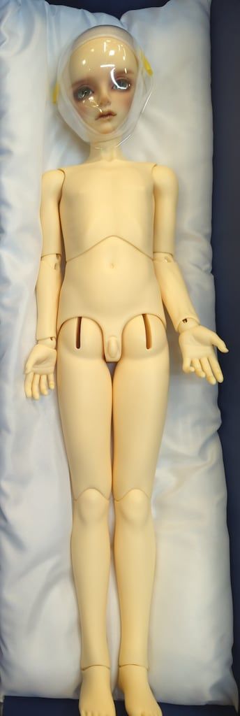 ボークス SD男の子