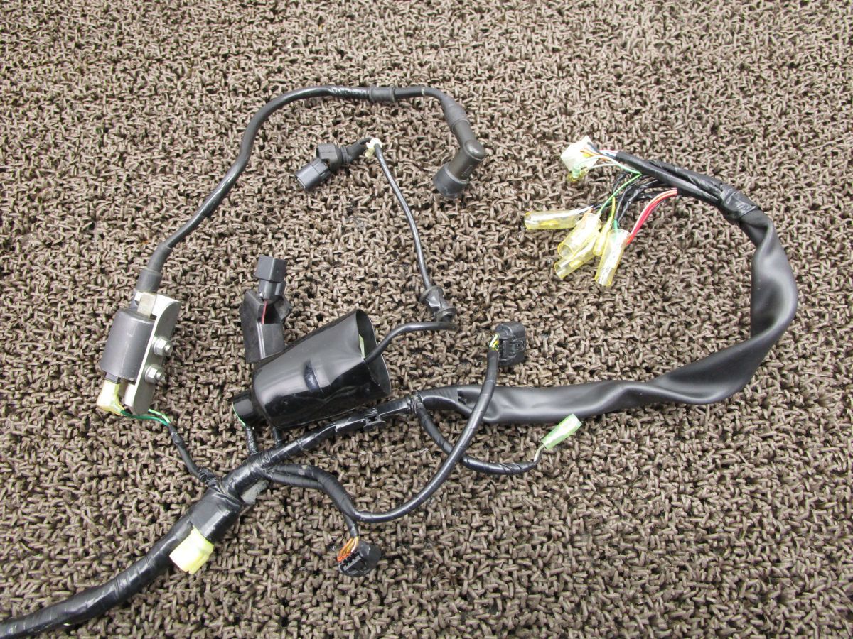 リトルカブ メインハーネス V999 イグナイター レギュレター イグニッションコイル AA01 ホンダ AA02E 動画有 インジェクション 12V BRIGHTFACE_UK