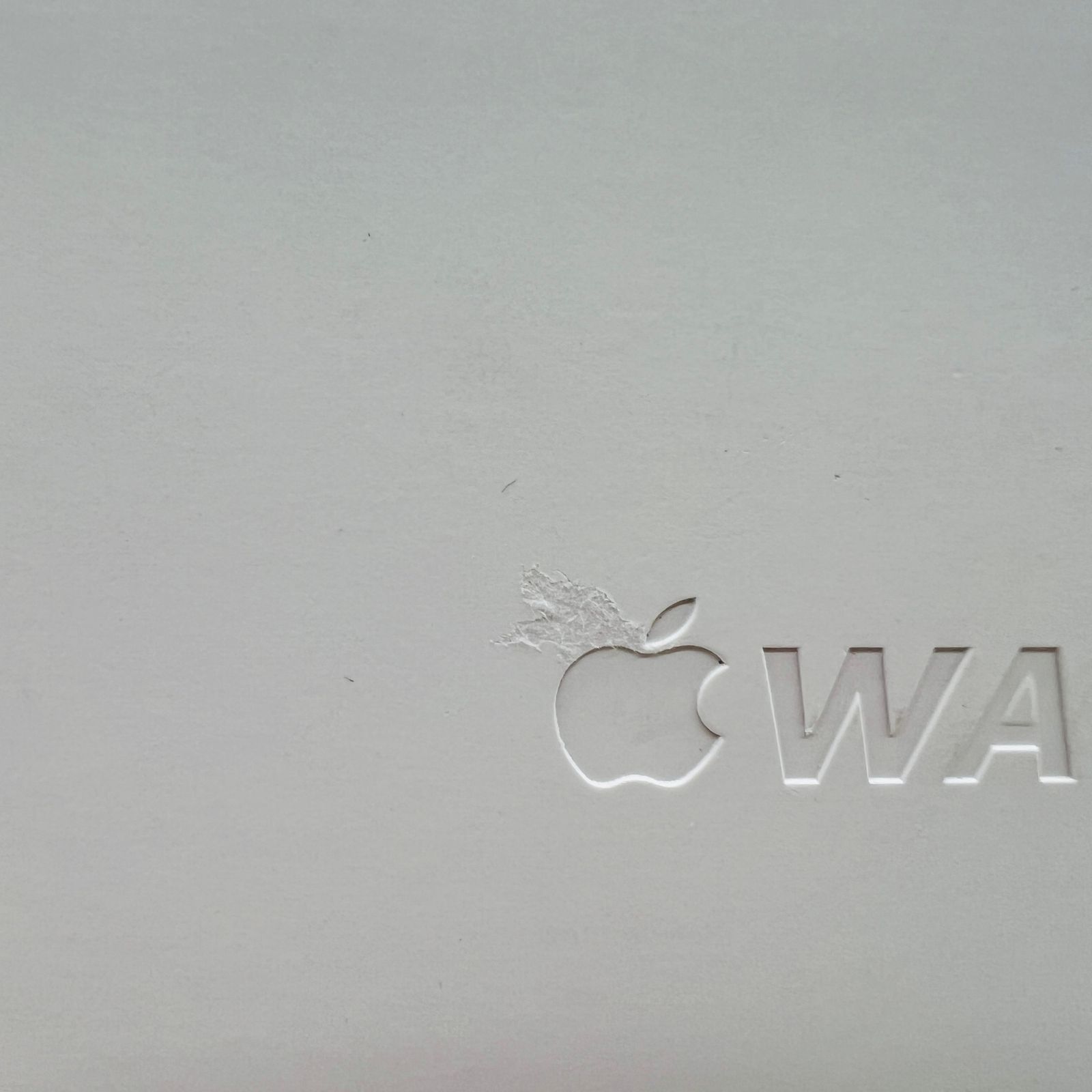 Apple Watch