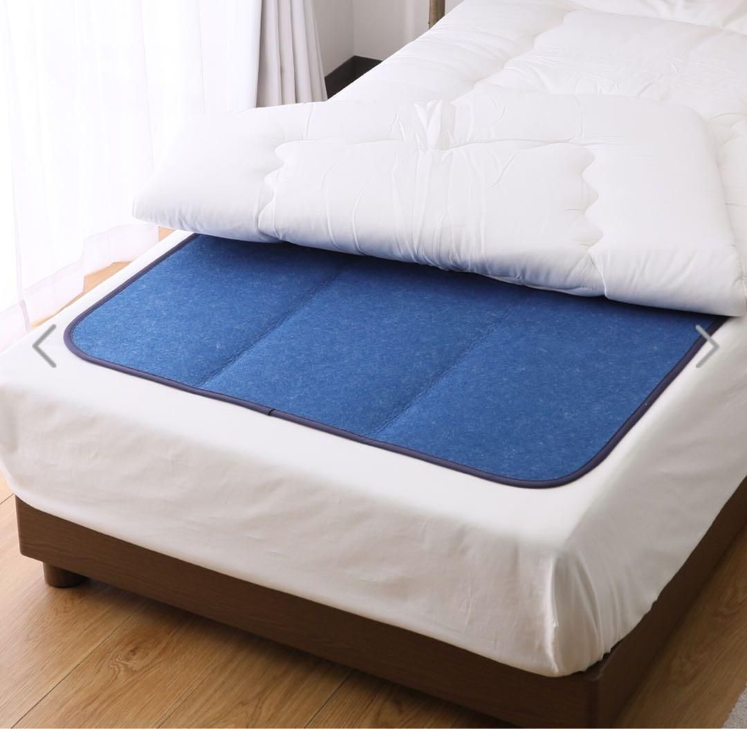 西川 湿気をぐんぐん吸収！ 繰り返し使える 消臭・防ダニ除湿シート