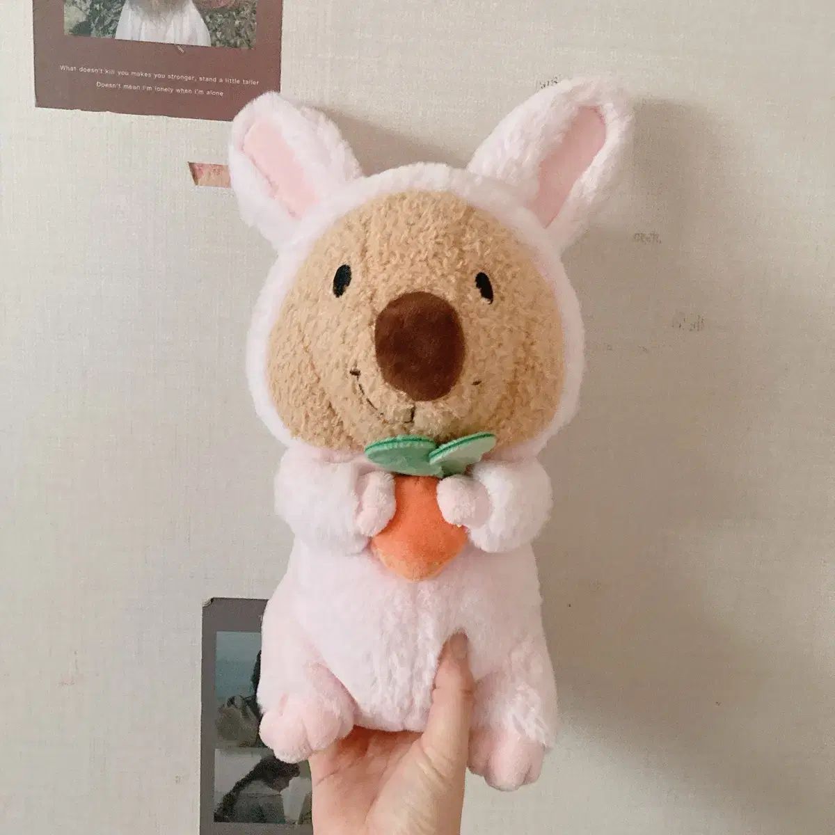 品質保証，爆買い 人参 キャリー ある クオッカ その他