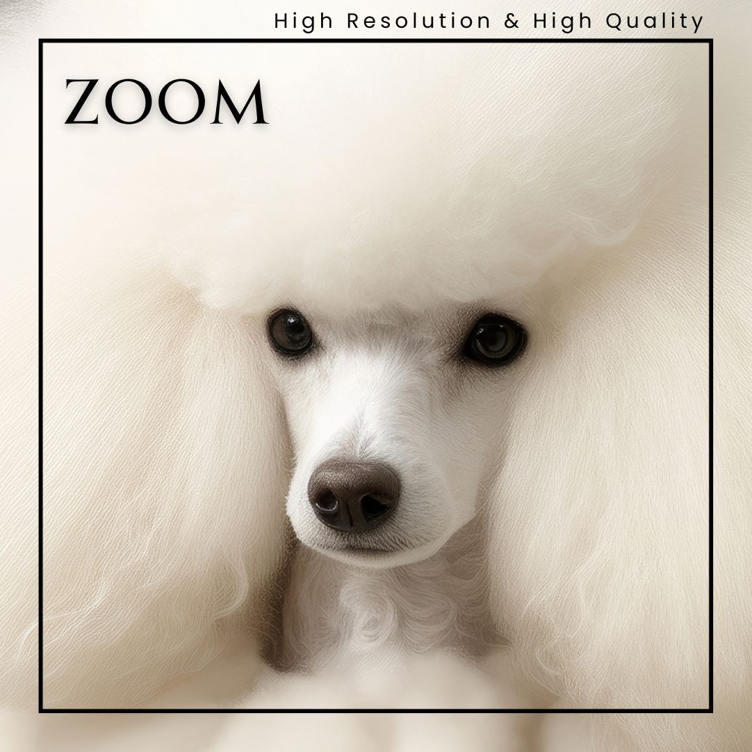 モールアート☆スタンダードプードル Fashion Show, Poodle Dog 02（ファッションショー・ブラック