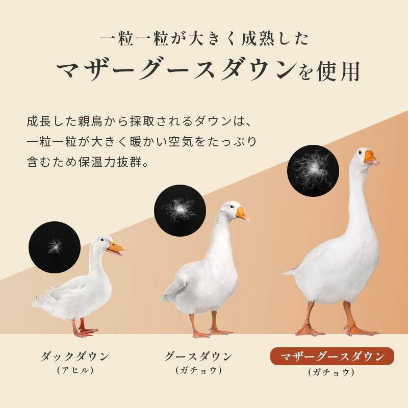 シングルロング
