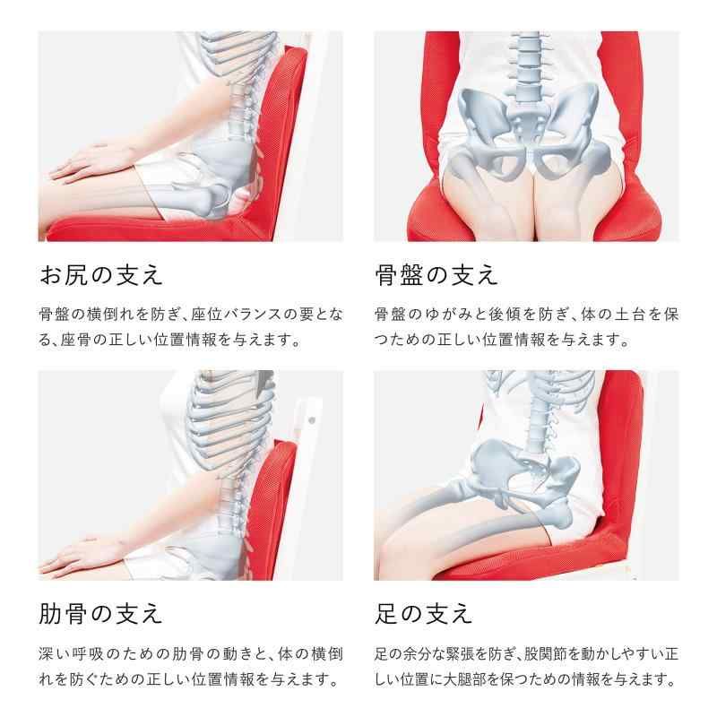 菊づくし