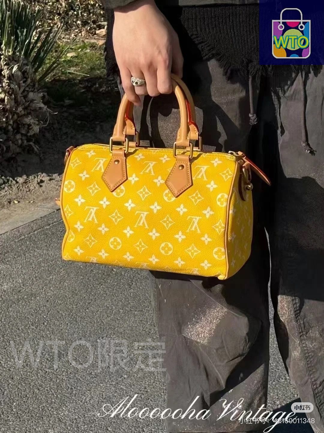 今日特価】Louis Vuitton Speedy 
