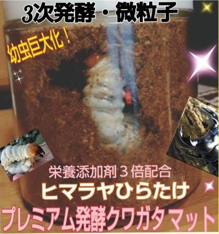 増量50L☆プレミアム3次発酵カブトマット 特殊アミノ酸・共生