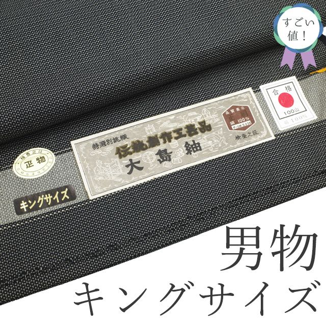 新古品 すごい値 紬 男物 アンサンブル AS 疋物 反物 キングサイズ 伝統創作工芸品 先染め 群馬県 黒 百山亀甲 御召のような風合い 着尺 羽尺 カジュアル 未仕立て 紳士 メンズ 春 秋 冬 リサイクル みやがわ nem00126