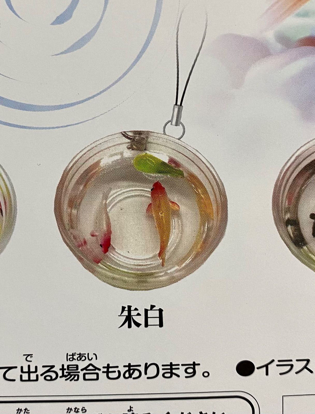 単品販売♯金魚小鉢きんぎょこばち ガチャガチャ カプセルトイ