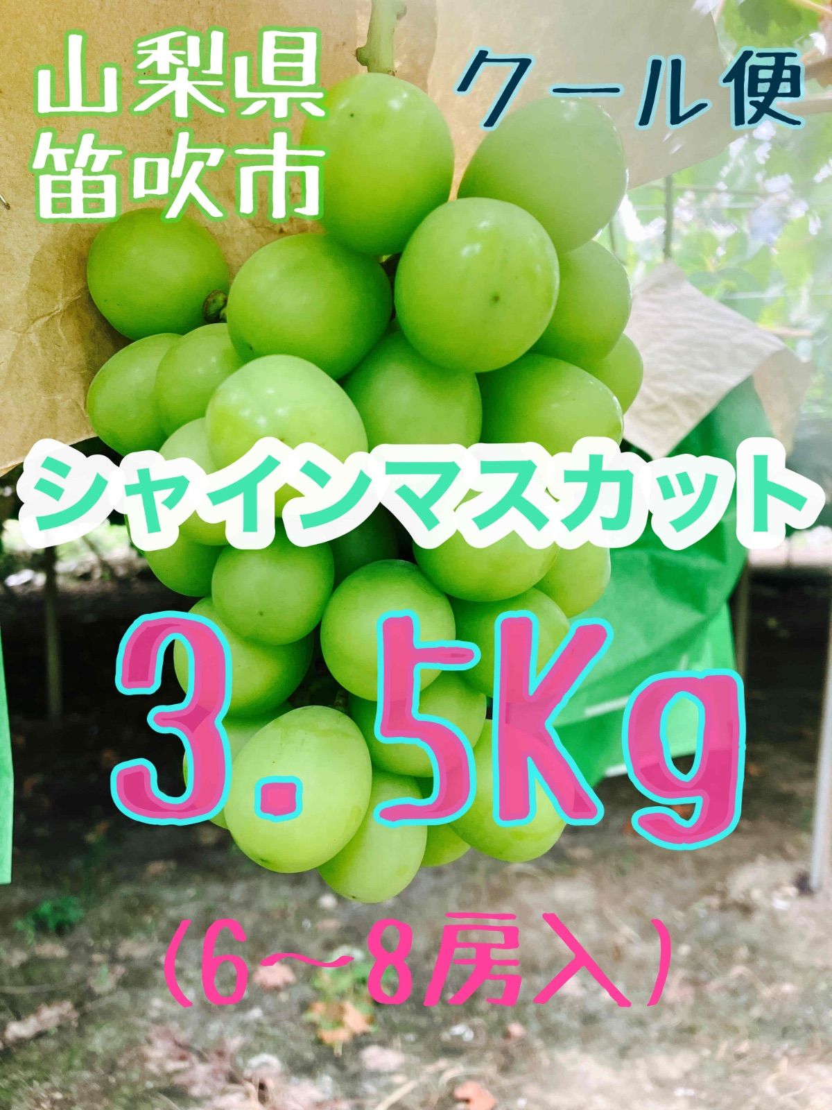 山梨県笛吹市 シャインマスカット3.5kg