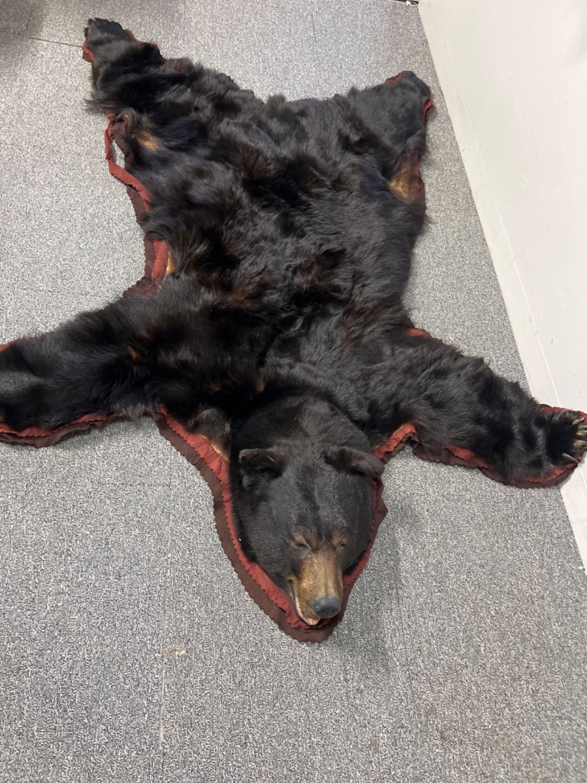 ⭐︎ 熊 敷物 毛皮 剥製 ラグ カーペット 全長190cm インテリア