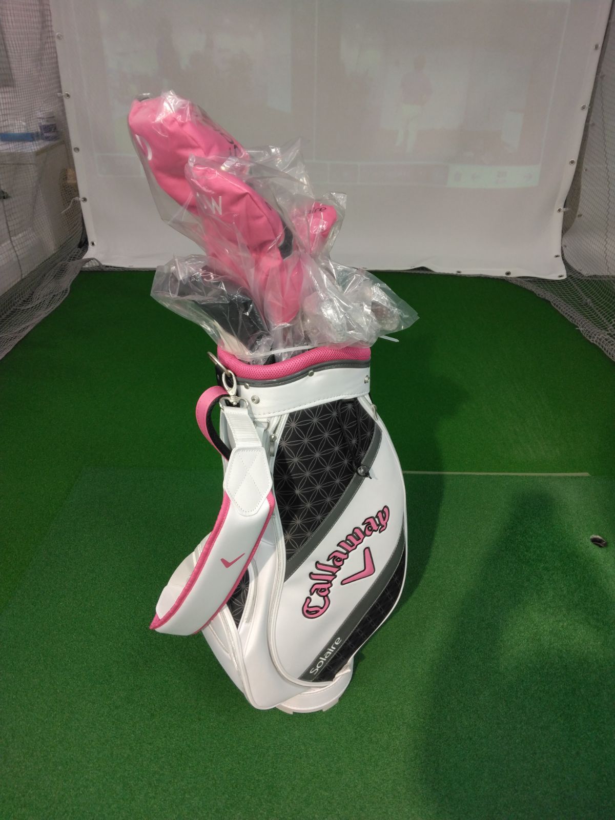 ゴルフクラブ　レディースセット　初心者　ミズノ　mizuno NT627 ゴルフクラブ レディースセット 初心者 ミズノ mizuno NT627 ゴルフ