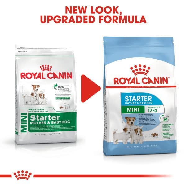 ロイヤルカナン SHN ミニ スターター マザー&ベビードッグ 犬用 3kg