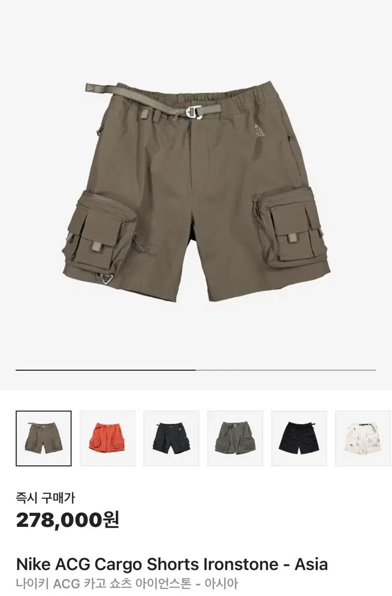 Nike ナイキ ACG カーゴショーツ アイアンストーン XL