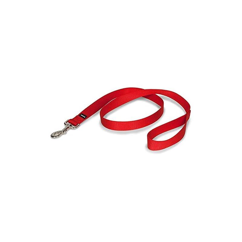 PetSafe ナイロンリード 犬 調整簡単 耐久性が高い ソフト 軽い 大型 犬 リード（幅2.5cm×長さ120cm レッド）