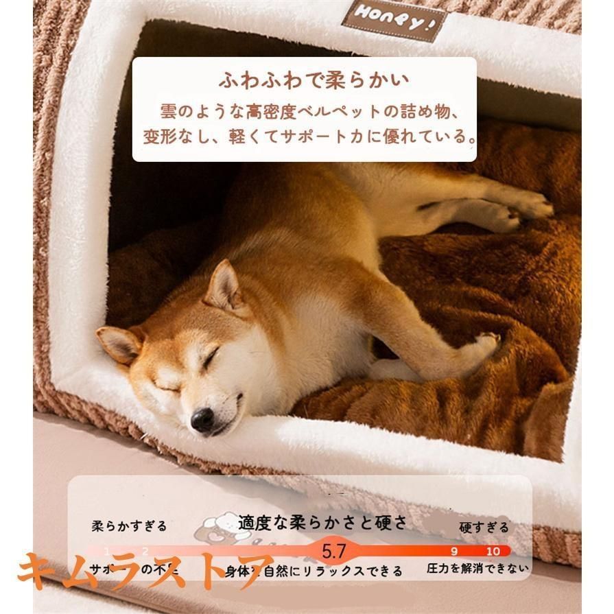 中型犬
