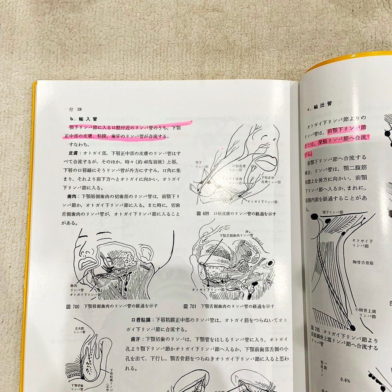 お値下げしました！ 図説 口腔解剖学 3 脈管学 基礎編 臨床編 2冊 