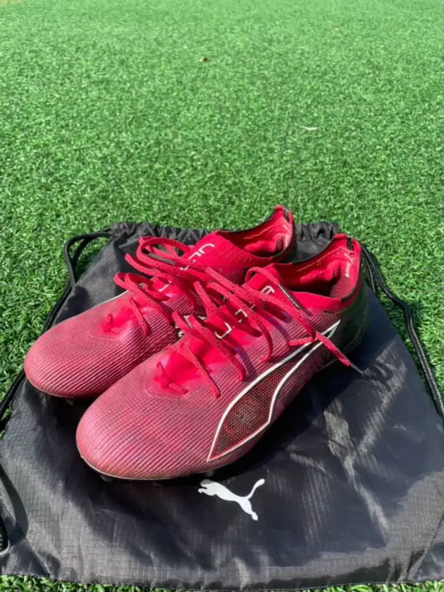 プーマ ウルトラ 6 CP FG LLC-HASEGAWATOSO_COM