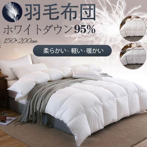 羽毛布団 掛け布団 冬布団 ホワイトダックダウン95% 吸湿発熱 吸湿 発熱 通気性 柔らかい 軽い 羽毛ふとん シングル ロング