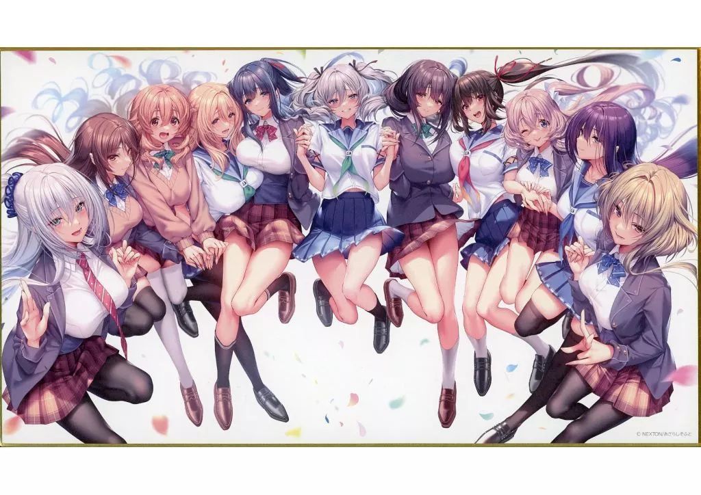 紙製品 集合 ヒロイン全員集合イラスト 特注サイズ色紙 アマカノ2 ビジュアルファンファック ドラマCD付 版 画集既刊5冊 画集全巻収納BOX Wタペストリー5枚フルセット BOXイラストタペストリー オフィシャル通販 特典
