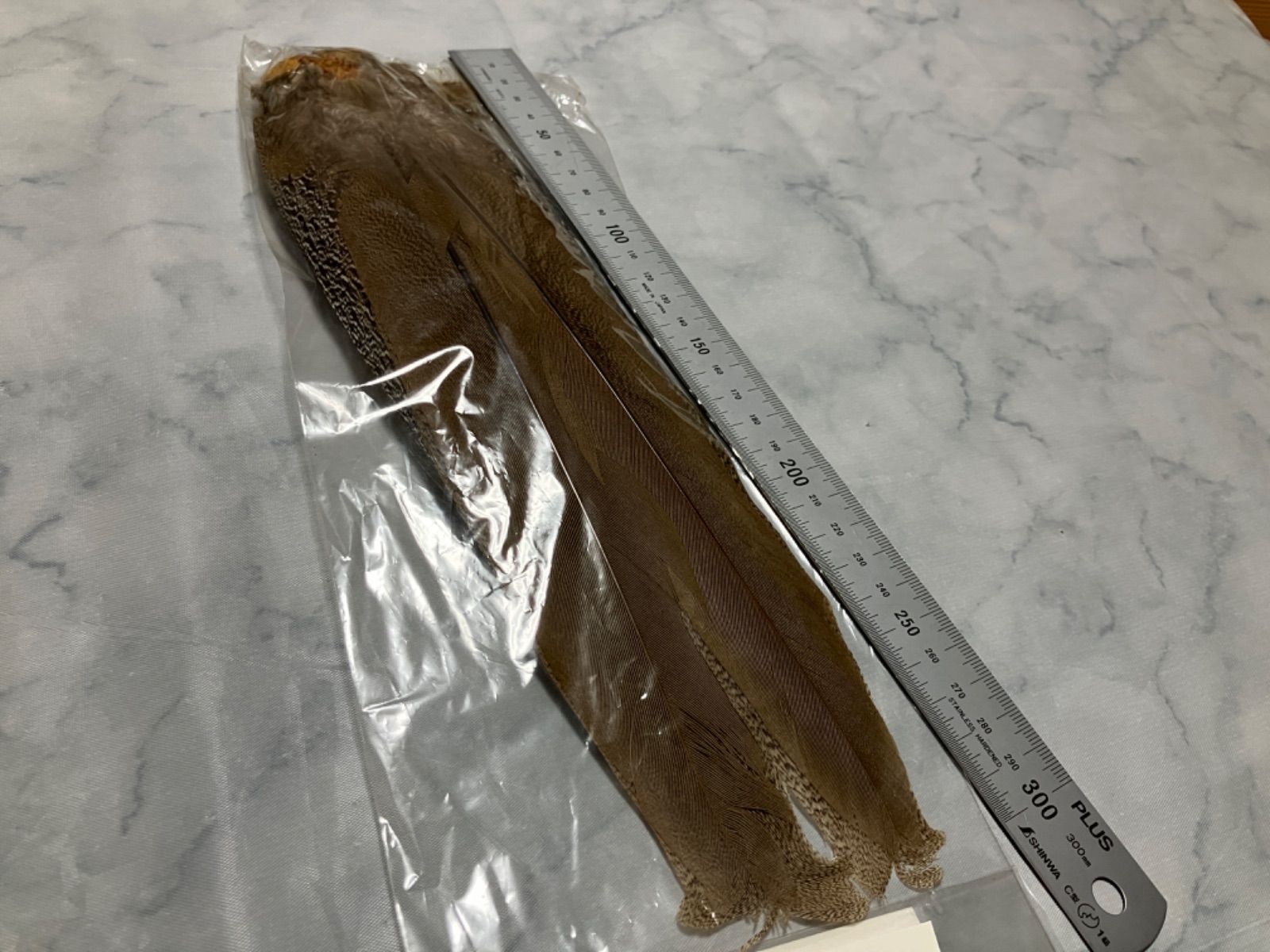 スペックルドフェザント