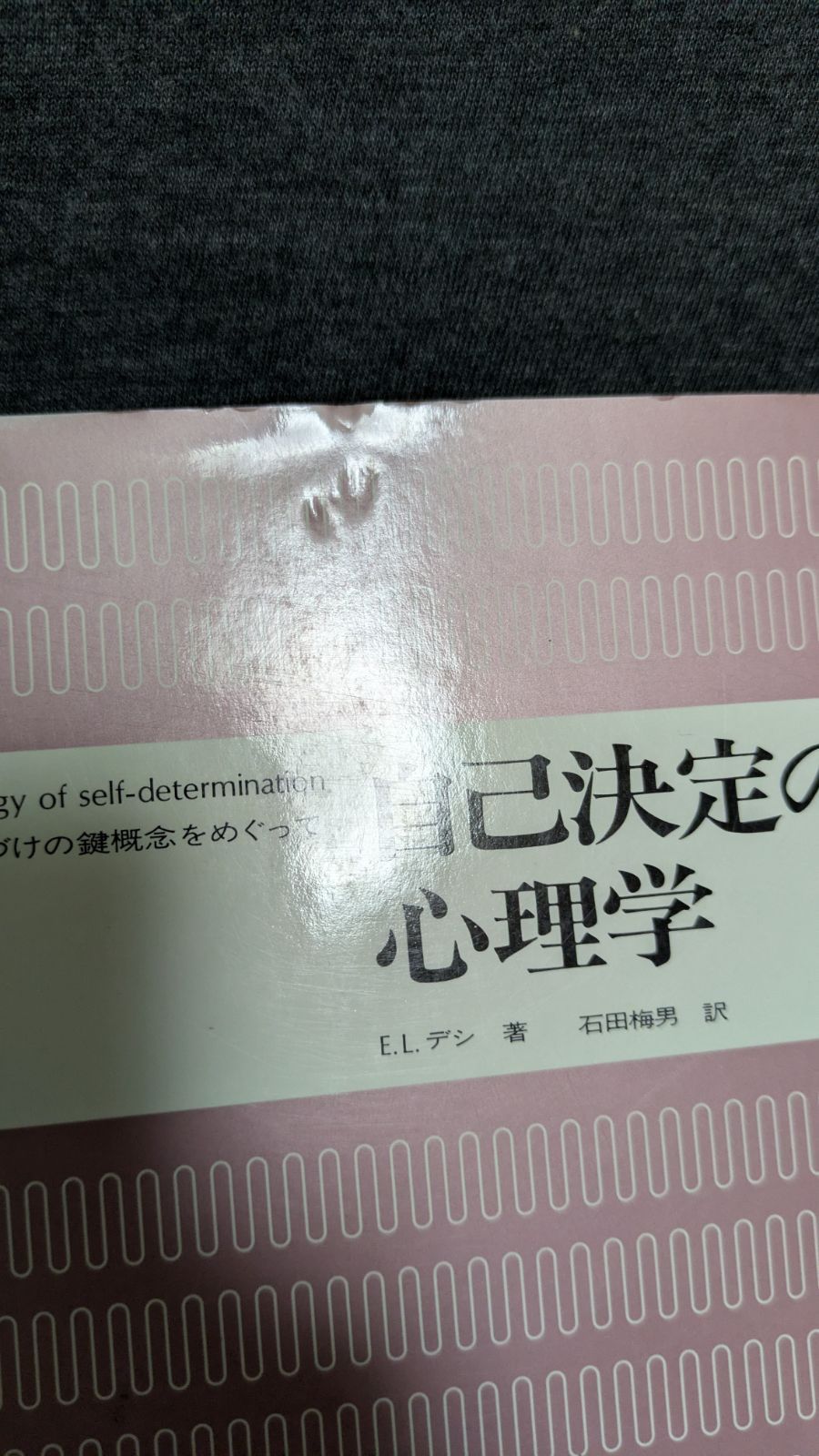 自己決定の心理学: 内発的動機づけの鍵概念をめぐって (デシ/石田梅男