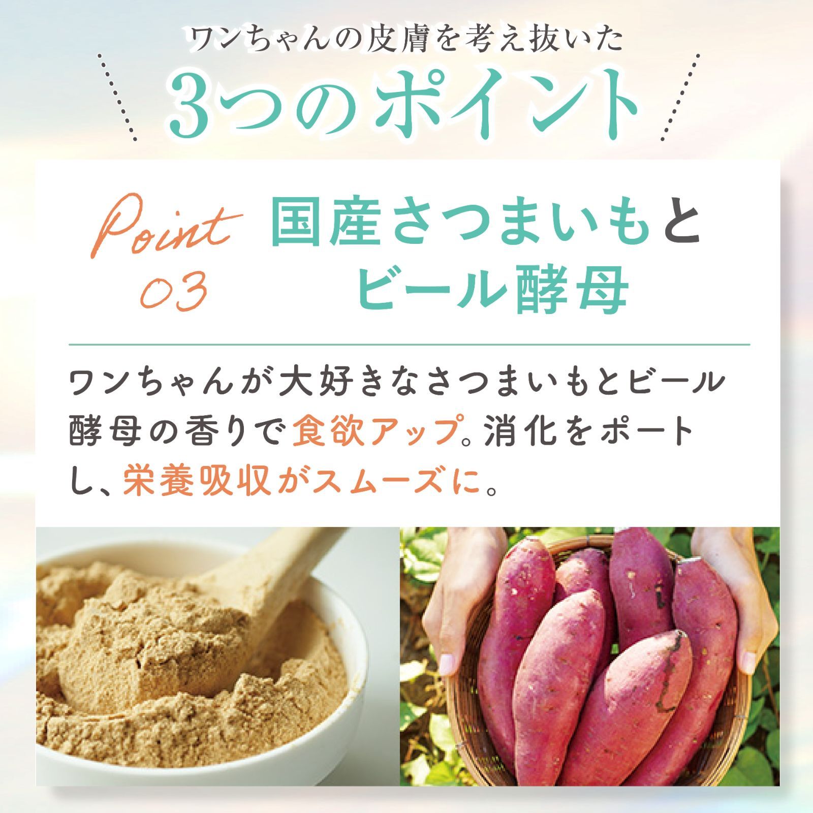 3袋セットMOREMOTTO 乳酸菌＆DHAふりかけサプリfuricoフリコ