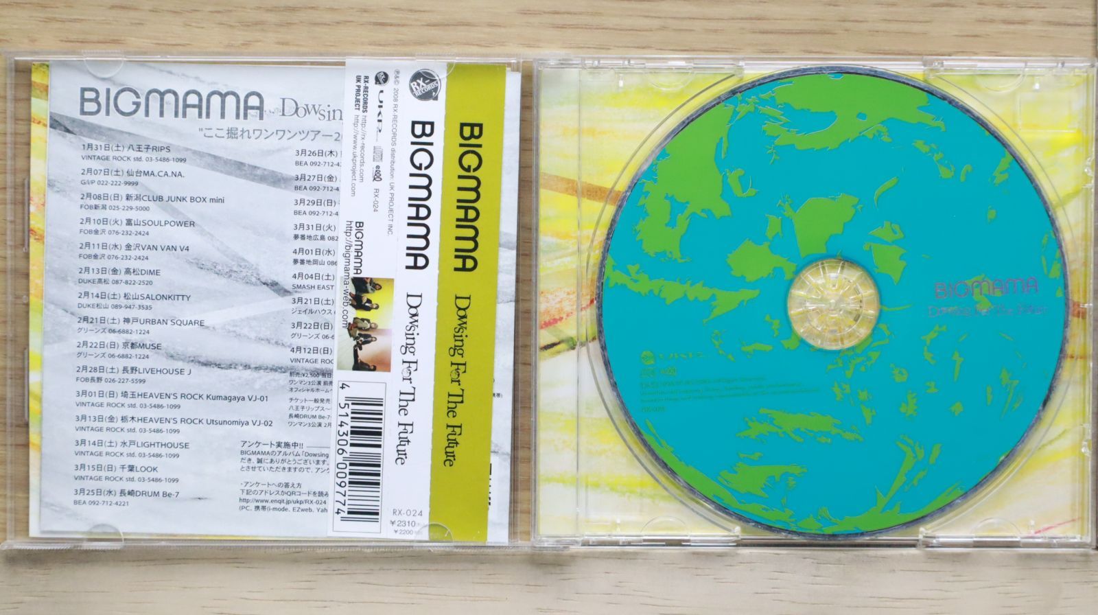 国内盤CD☆ビッグママ/BIGMAMA□ Dowsing For The Future