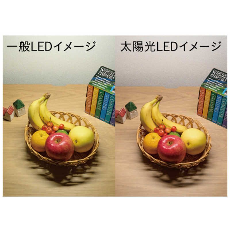 コイズミ KOIZUMI