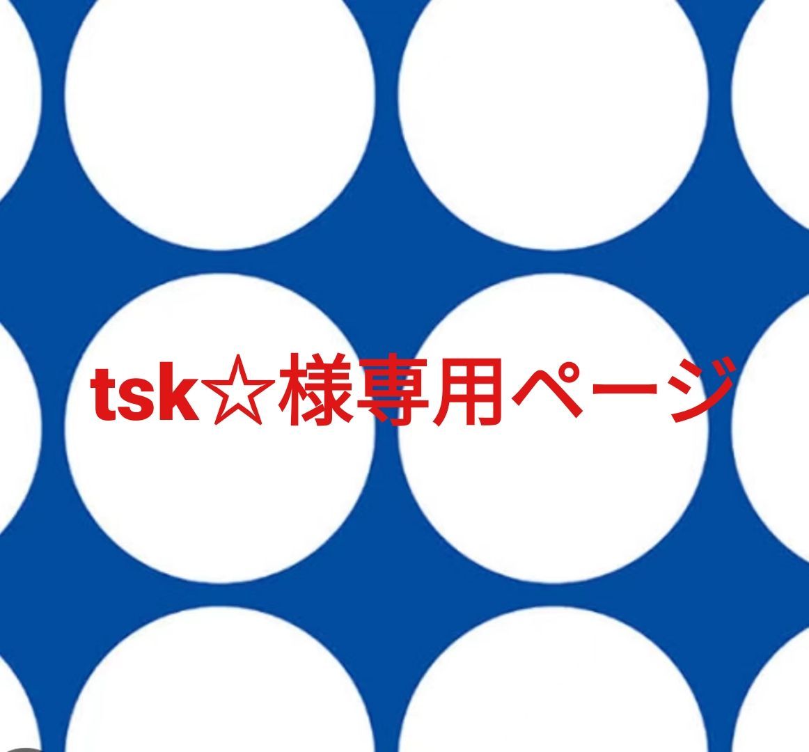 tsk☆様専用ページです。 - メルカリ