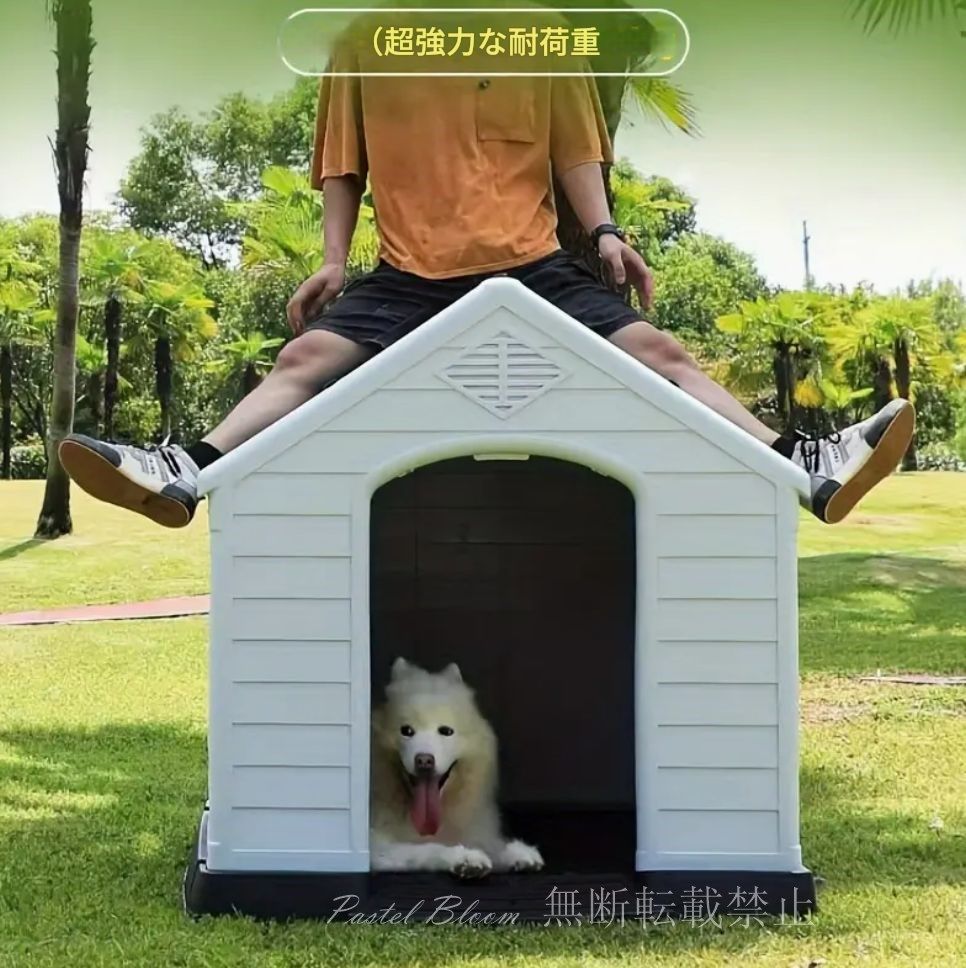 春 夏