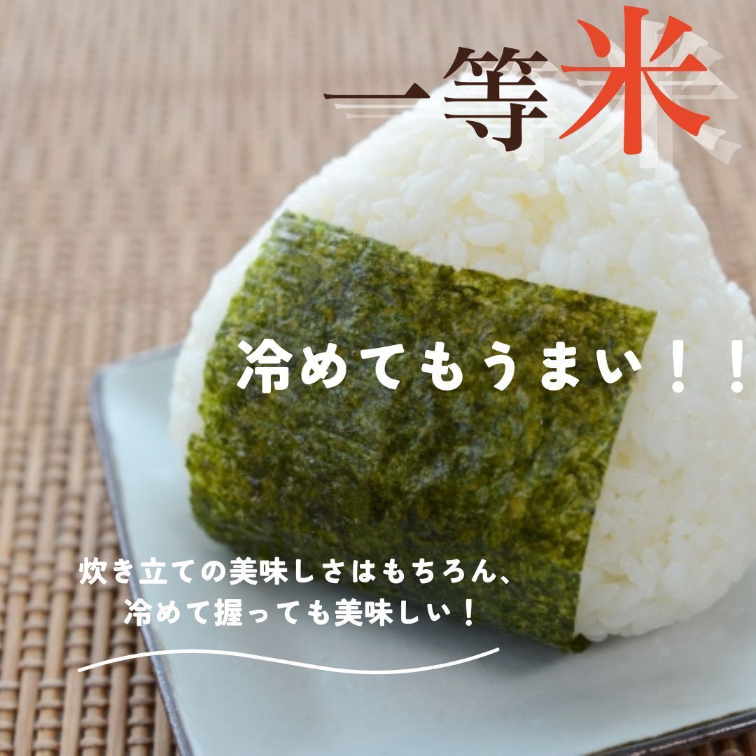 玄米 30kg