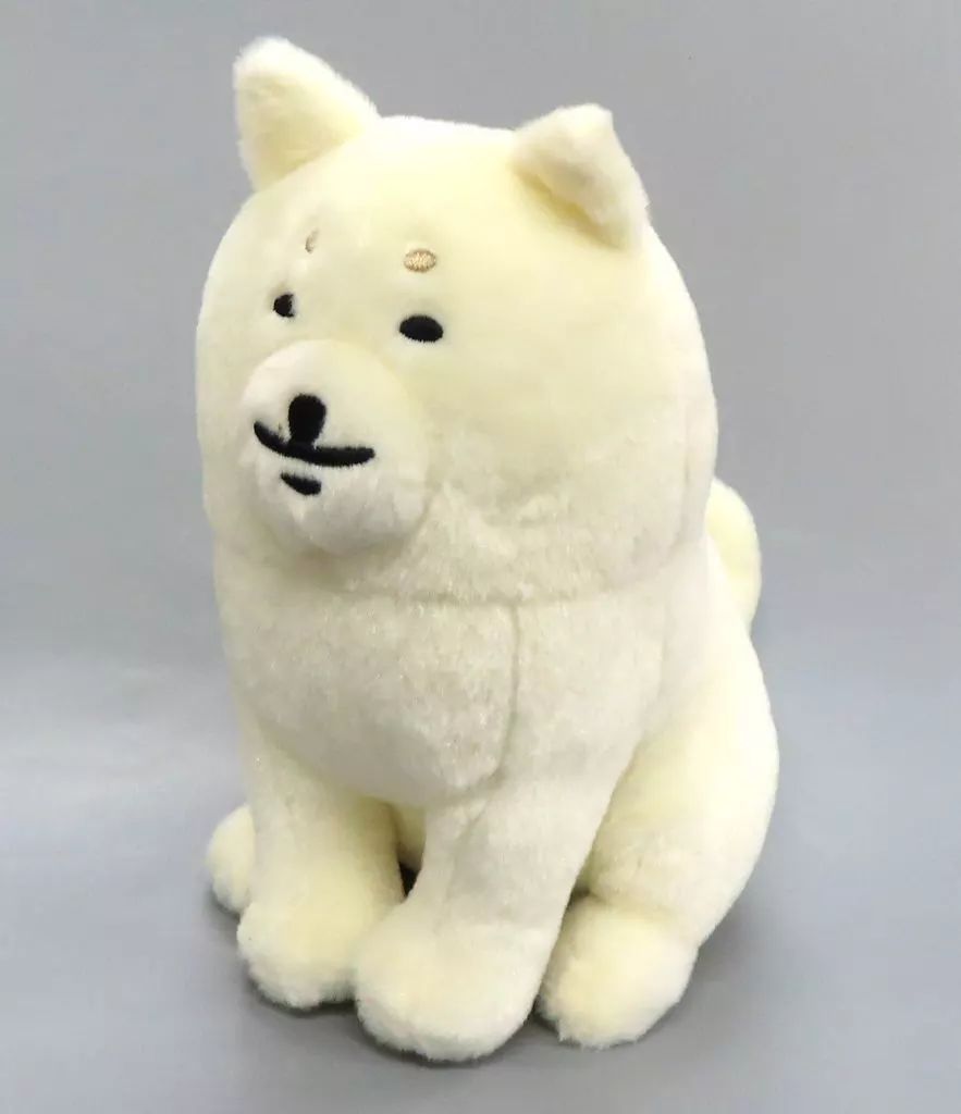 【中古】 天体力学講義/東京大学出版会/堀源一郎 Yahoo!オークション - 天体力学講義 堀源一郎/著 東京大学出版会