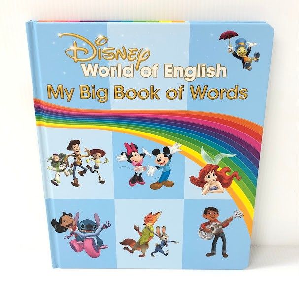 未開封MY BIG BOOK OF WORDS  ディズニー英語システム　DWE Amazon.co.jp: ディズニー英語システム(DWE) マイビックブック