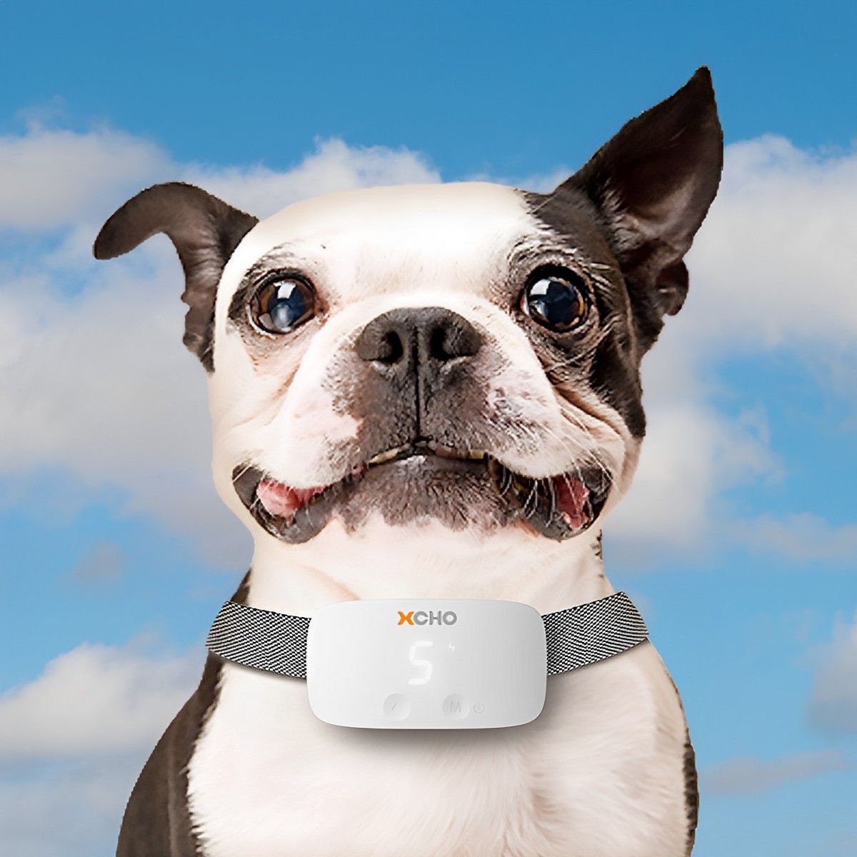 首輪 エクスコー バークトレーニングカラー しつけ用 無駄吠え防止 無駄吠え防止首輪 しつけ トレーニング 無駄吠え バークコントロール 犬用 犬用首輪 しつけ用首輪 電子振動 8段階調節 充電式 USB充電 ペット用 いぬ ドッグ