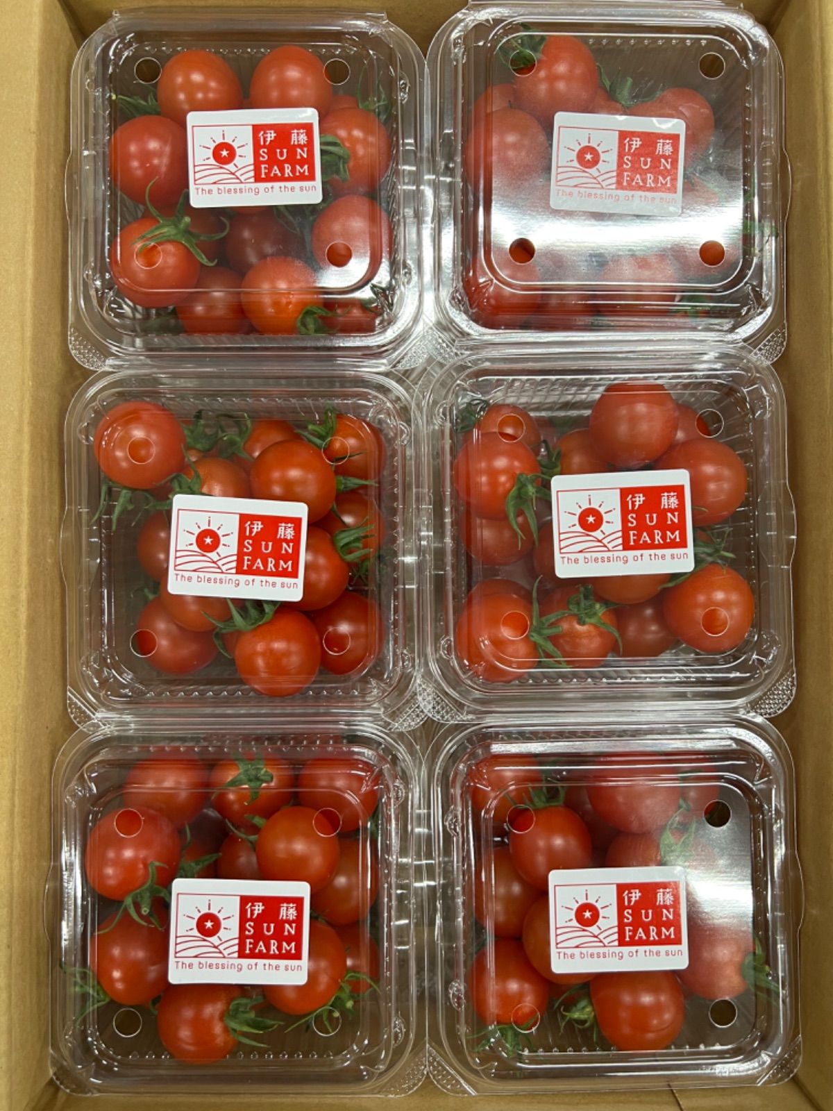ギフト用 ミニトマト 180g×12P A級品 - メルカリ