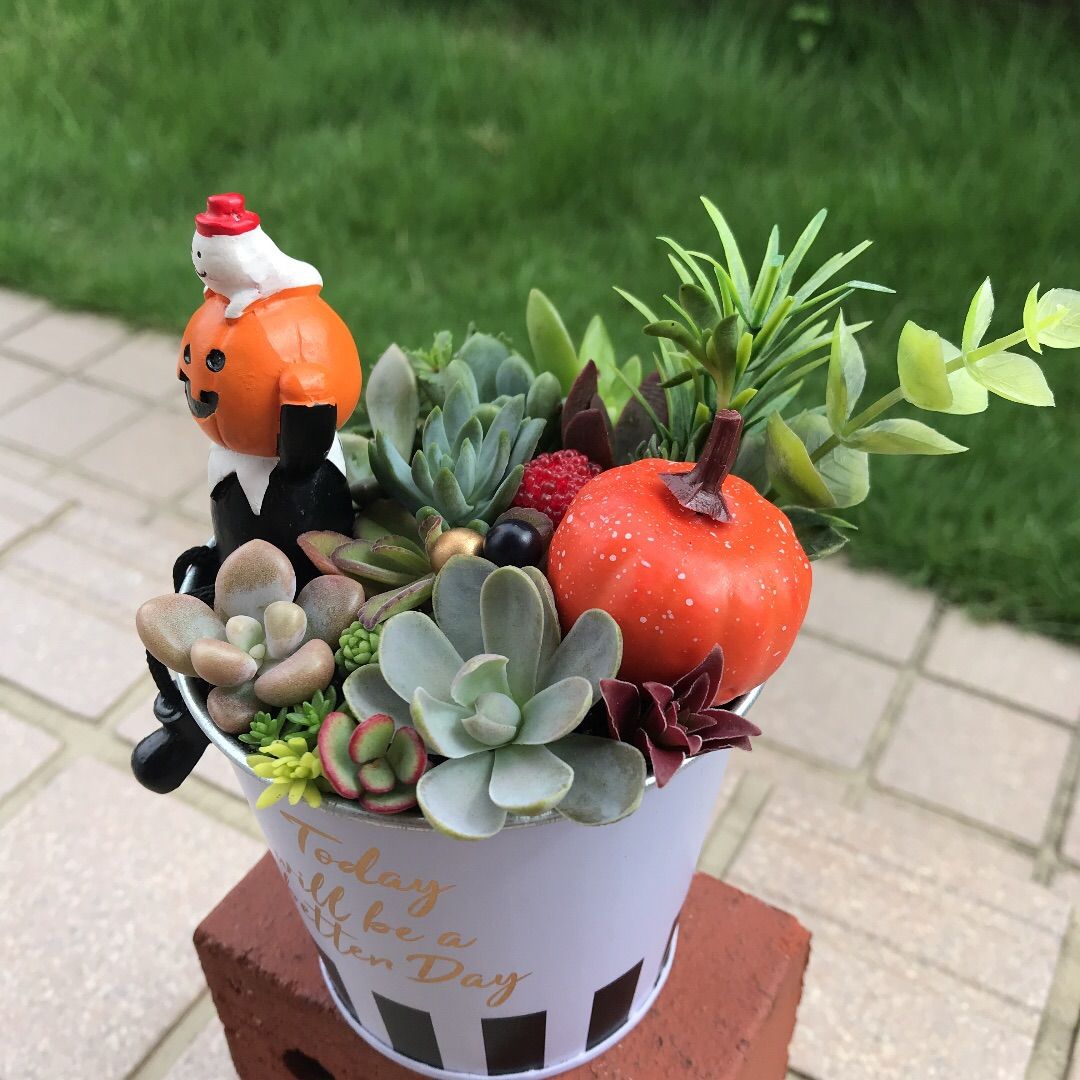 ♡そのまま飾れる♡ハロウィンの多肉植物寄せ植え