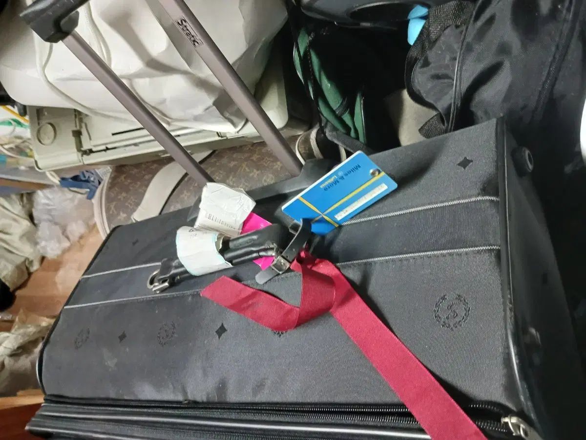 31 インチ