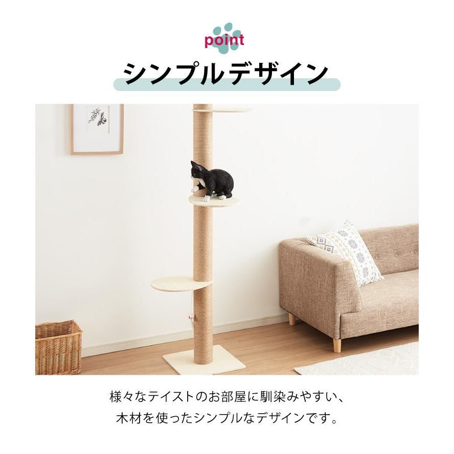 突っ張り