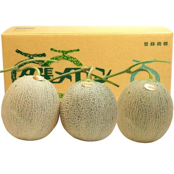 6月中旬ごろから入荷次第のお届け