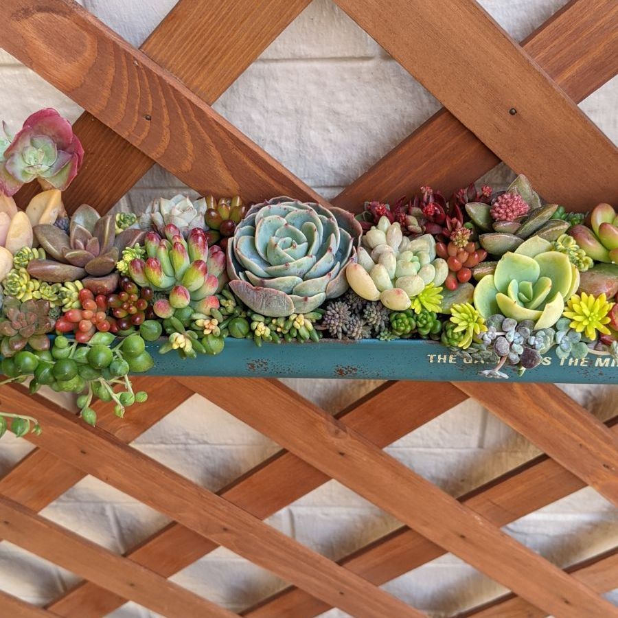 ✿ はな様 ご専用です❗ - メルカリ