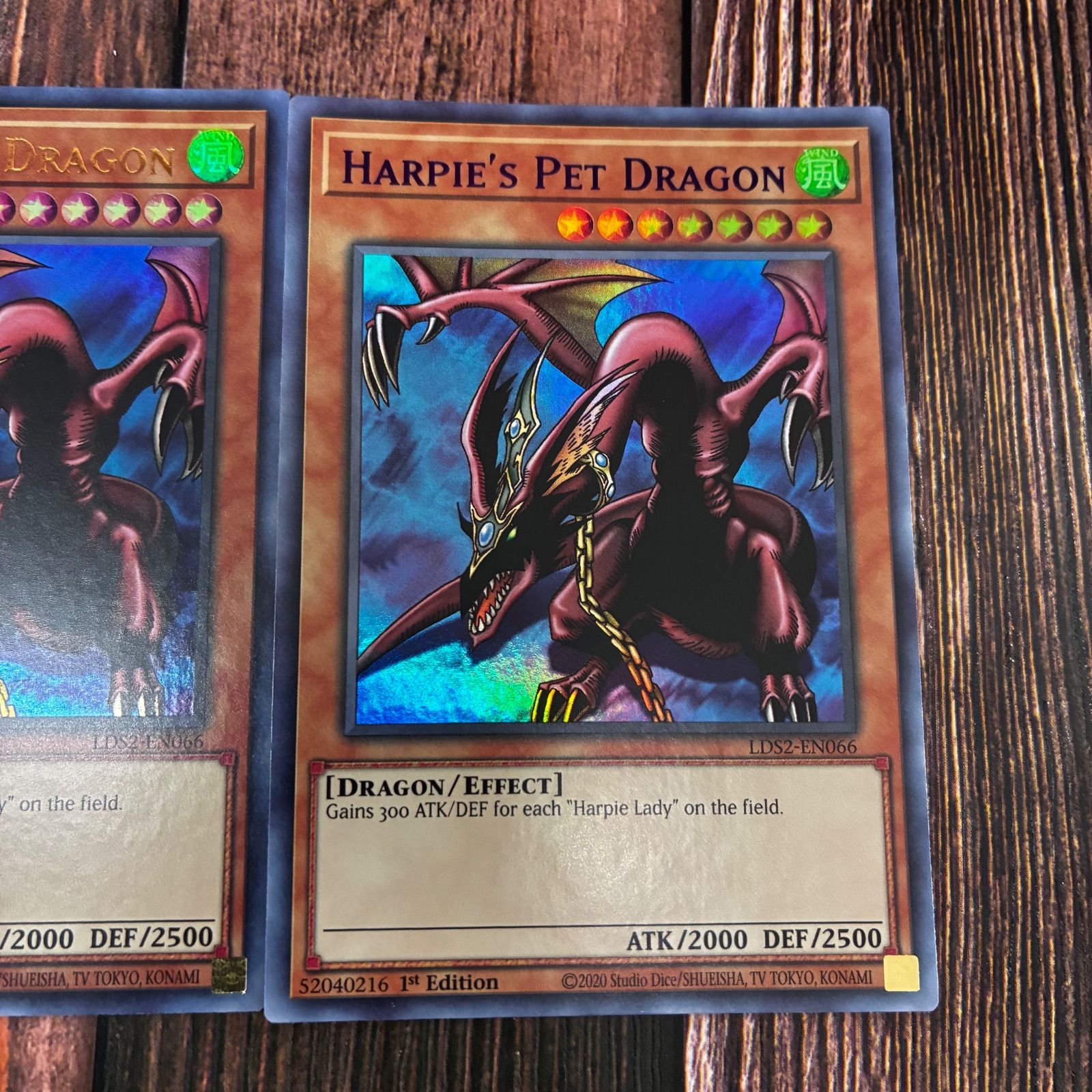 遊戯王 英語版 ハーピィズペット竜 カラフルウルトラレア 3枚