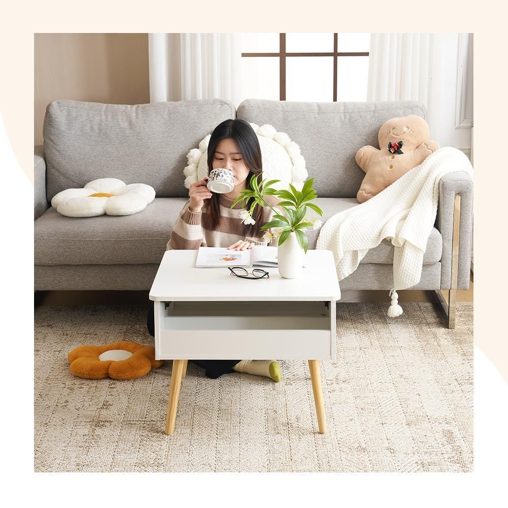 センターテーブル 昇降テーブル 収納付き 幅60CM 北欧風 リビングテーブル センターテーブル 昇降テーブル 収納付き 幅60CM 北欧風 リビング
