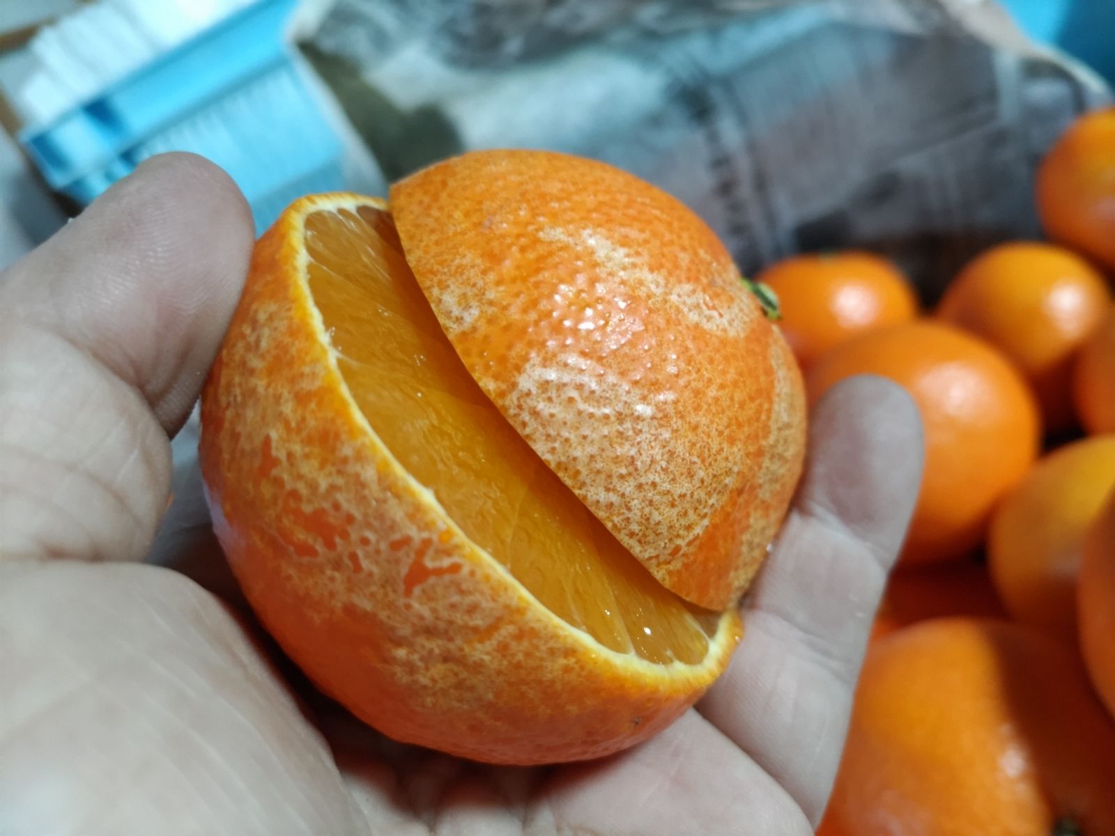 まどんな 紅まどんなと同じ品種