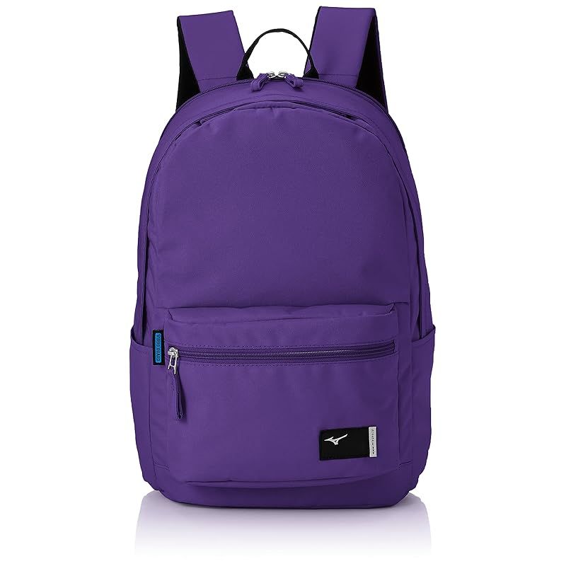 中国 徳化窯白磁 刻花文 水注瓶 C 6903 中国 徳化窯白磁 刻蓮花文 浄瓶