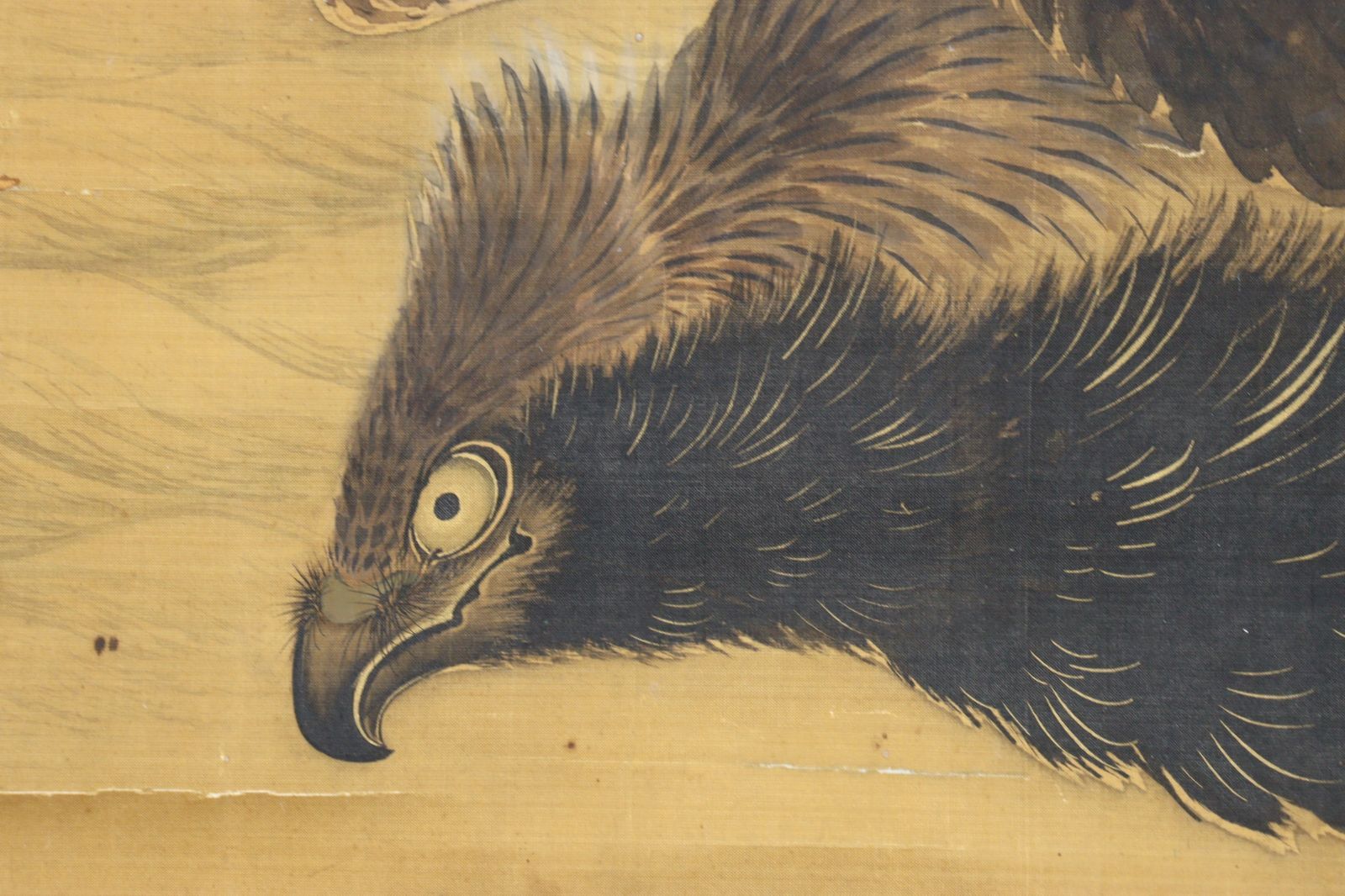 文晁　絹本　掛軸 谷文晁 「鷹」 日本画 肉筆絹本掛軸 楾 S28-P - メルカリ