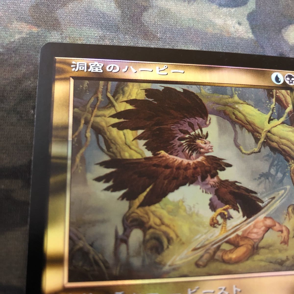 nv3 69 洞窟のハーピー Cavern Harpy Foil プレーンシフト PLS