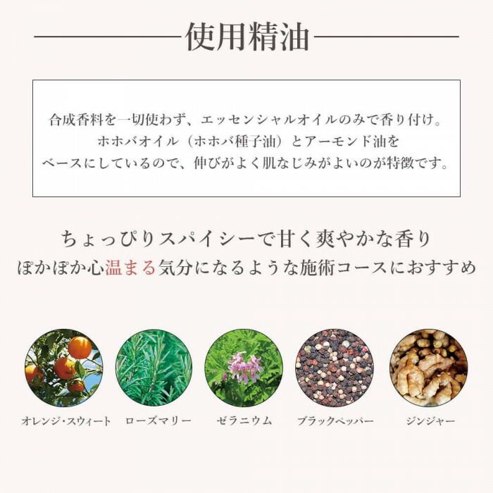 デイリーアロマジャパン アロマプロ マッサージオイル ウォーミング 30004