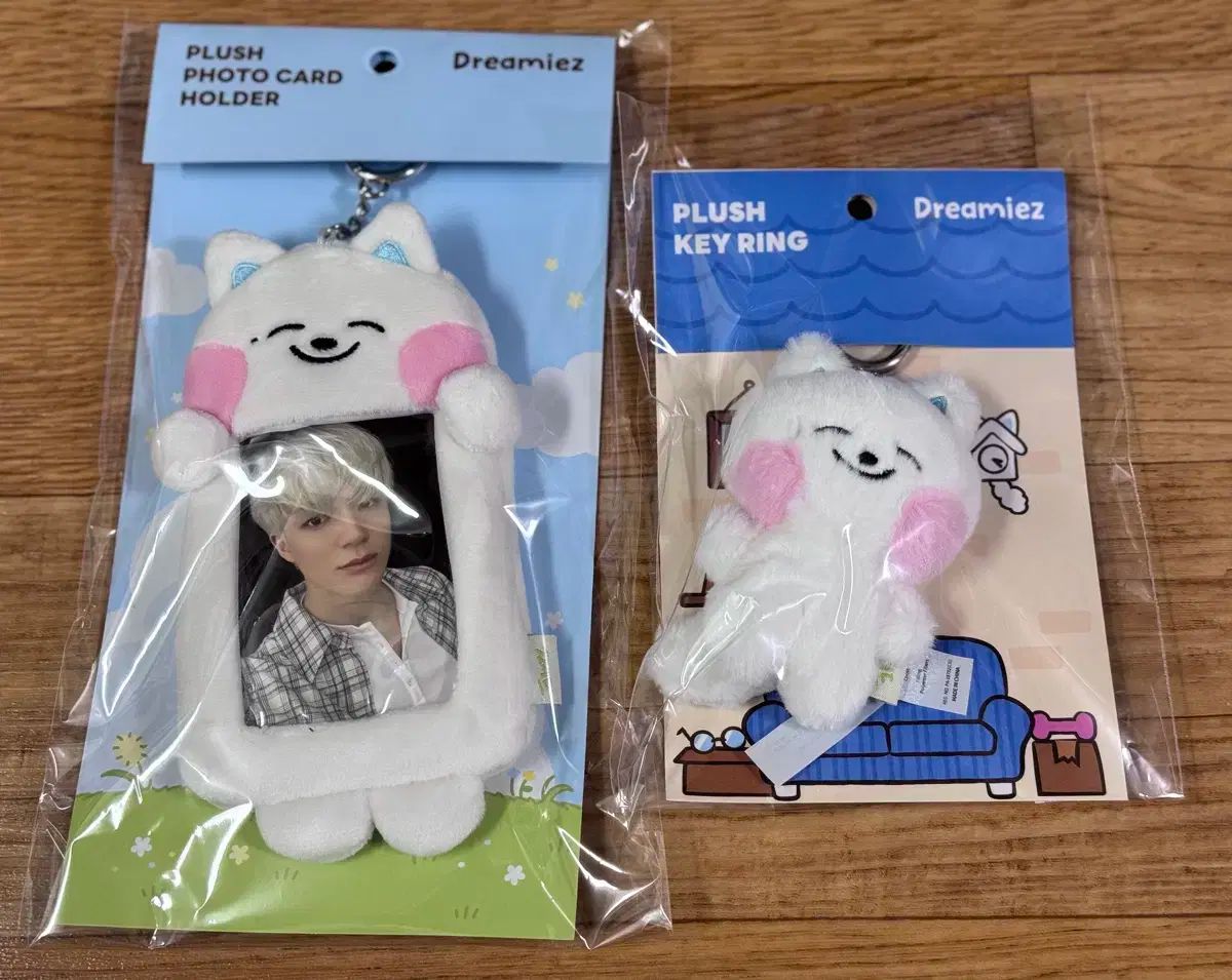 アガベ チタノタ シーザー Agave titanota caesar 019 | Sunny