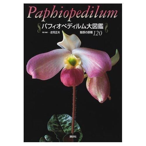 「パフィオペディルム大図鑑 魅惑の原種120」 パフィオペディルム大図鑑: 魅惑の原種120 パフィオペディルム大図鑑